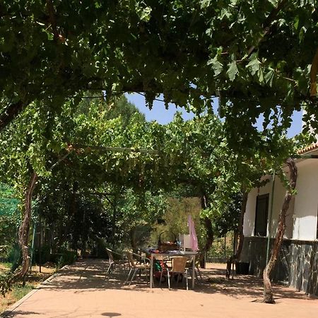 Casa De Ines Villa Alhama de Granada Ngoại thất bức ảnh