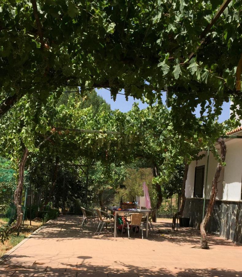 Casa De Ines Villa Alhama de Granada Ngoại thất bức ảnh